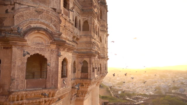 Beautiful slow motion video of some pigeons flying at sunset on the Udaipur City Palace, Rajasthan, India.