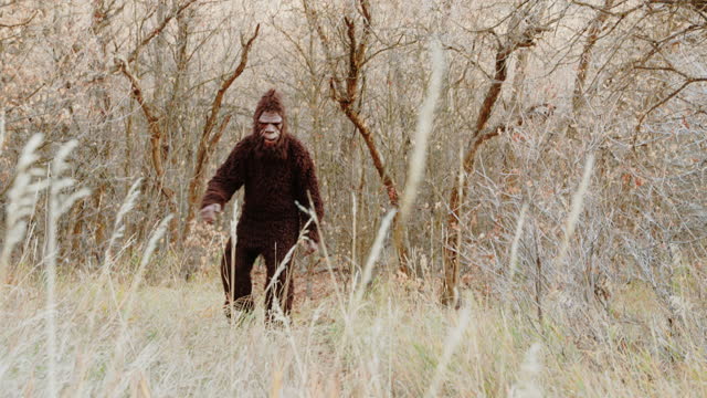 Bigfoot Sasquatch in the Forest