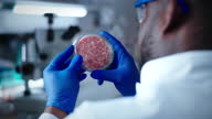 istock Crop black scientist checking meat in Petri dish 1326250957