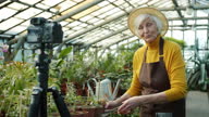 istock Elderly lady blogger recording video for online blog talking about plants in greenhouse 1297206585