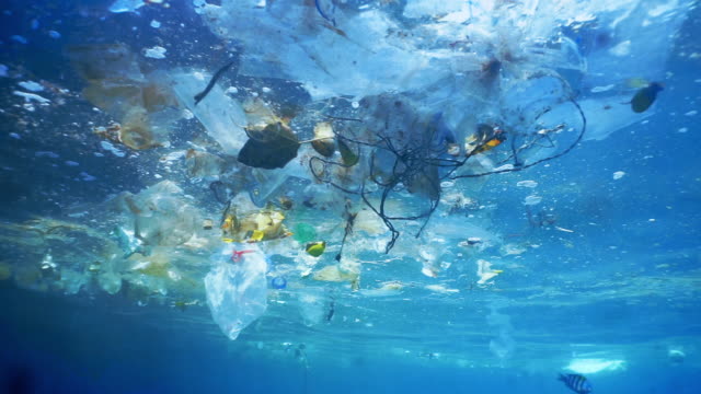 Environmental Issue underwater plastic pollution in the Ocean