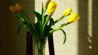 istock Faded yellow tulip buds raised 518014766