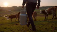 istock SLO MO Farmer carrying a barrel of milk on the pasture 1291248489