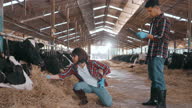 istock Female and male farmer walks along the row checking on his livestock in the barn. 1370656765