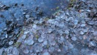 istock First frost on ground and small lake, late autumn picture 1389636146