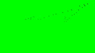 istock Flock of Geese Flying Overhead 1322351559