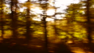 istock Forest and trees through the car window 607849964