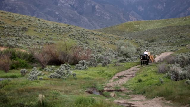Historic Wagon on Rural Dirt Road