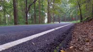 istock isolated tarmac road in forests with vehicle passing by from low angle 1365327514
