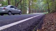 istock isolated tarmac road in forests with vehicle passing by from low angle 1365327977