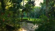 istock Jamaica | Ocho Rios Coast | Dunn’s River Falls & Park | Tranquility Garden. 1400856851
