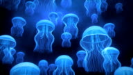 istock Jellyfish Ascending Towards Light 472821057