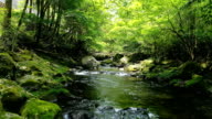 istock landscape of clear stream 699620004