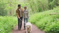 istock Loving Couple With Pet Dog Walking Along Path Through Trees In Countryside 1334855615