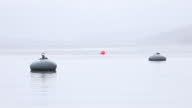 istock Marker buoys on a Scottish loch in the rain with copy space 1363841623