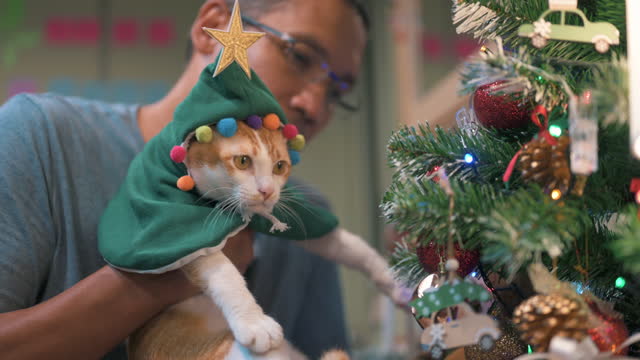 Mature Asian man with cat  for Christmas time