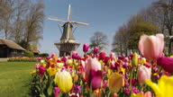 istock Mixed spring garden with a windmill 1317338968