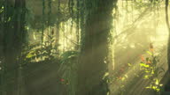 istock morning light in beautiful jungle garden 1384135788