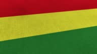 istock National Flag of Bolivia Animation Stock Video - Bolivian Flag Textured 3d Rendered Background - Highly Detailed Fabric Pattern 1427245496