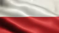 istock National Flag of Poland Animation Stock Video - Polish Flag Waving in Loop and Textured 3d Rendered Background - Highly Detailed Fabric Pattern and Loopable - Republic of Poland Flag 1357888006