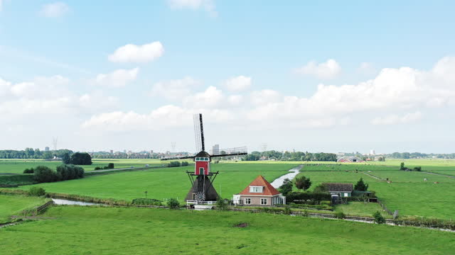 New vs old.Traditional Dutch Landscape with windmill and cows. Expending city in the back