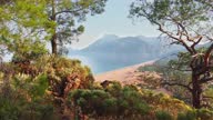 istock Olympos and Cirali Beach In Antalya Province, Turkey. Camera pans between bushes and trees and looks out onto a long beach with mountain views. Magnificent nature of Turkey, aerial view 1320199663