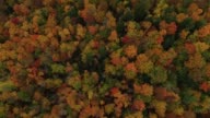 istock Overhead view of bright New England fall colors (4k) 1159890181