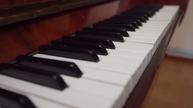 Piano keys are shown close-up. Stringed percussion keyboard musical instrument