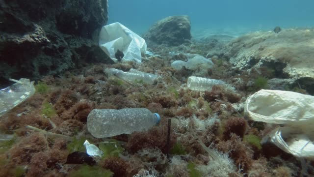 Plastic pollution, Tropical fishes swims over the bottom covered with a lot of plastic trash. Slow motion. Plastic bottles, bags and dishes on the seabed in Mediterranean Sea, Europe.