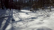 istock River with snow and ice in the winter woods 1367547495