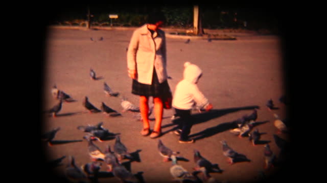 60's 8mm footage - feeding birds in a park