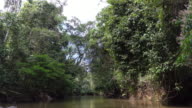 istock Sailing on the Cuyabeno reserve of amazon basin. 915992112