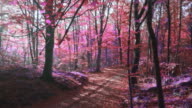istock Slow motion video of sunlight over an surreal purple forest 1279012714