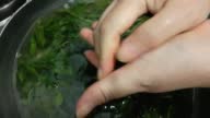 istock Soaking and Squeezing Jute Leaves in Clean Water 1392811815