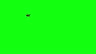 istock Spider walking on green background. 3D spider walking halloween concept idea 1345189749