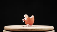 istock stop motion animation egg food broken on black background. 1299357542