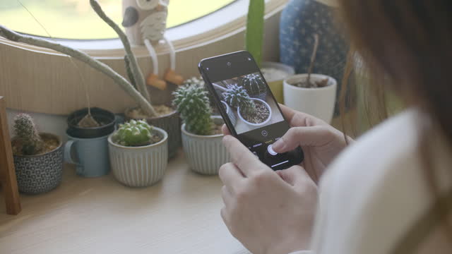 Taking photo of cactus with mobile phone