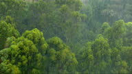 istock View from above of rain over a green tropical forest 1320645523