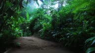 istock Walking in Bali jungle 952700012