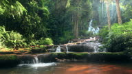 istock SLO MO Waterfall in the rainforest seamless loop 1290467213