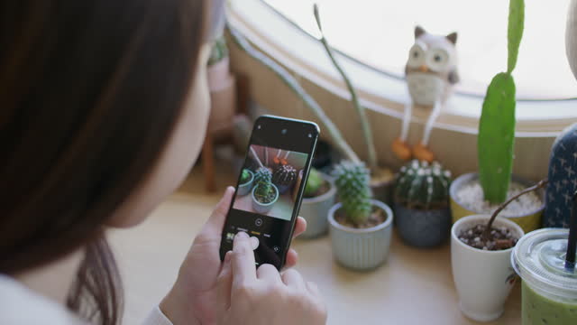 Young woman using phone trying to snap cactus
